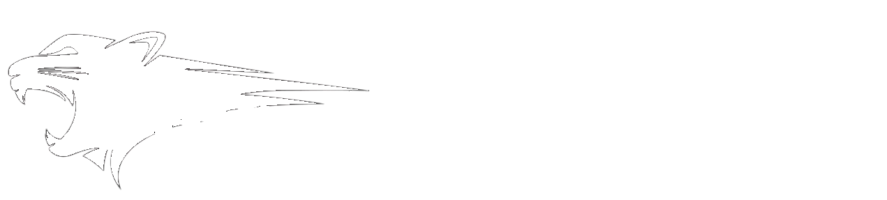 VibratingCat